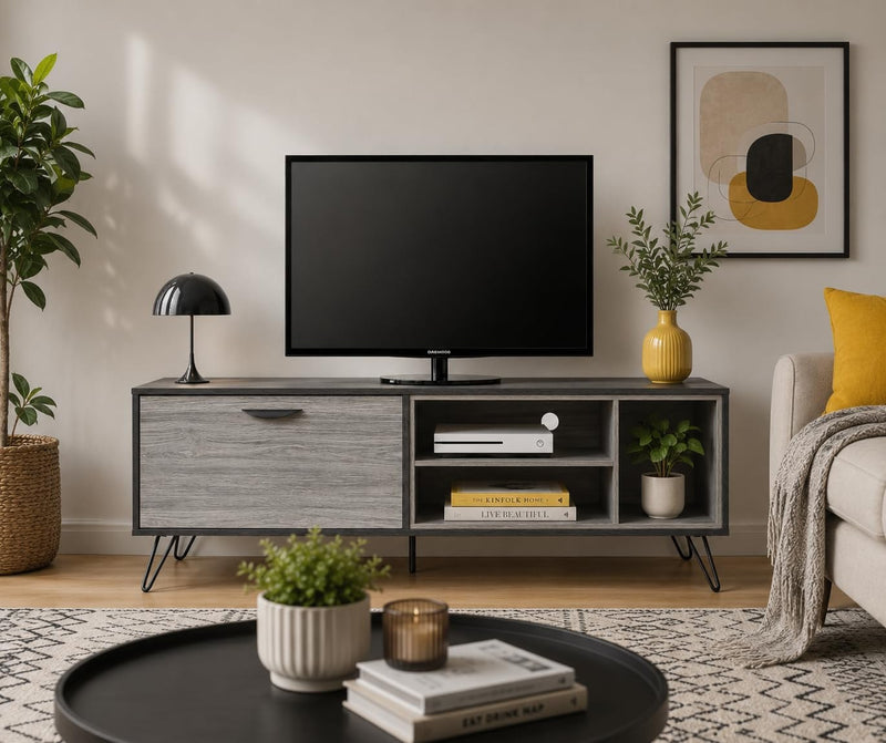 Flux 1 Door TV Cabinet - Grey and Charcoal