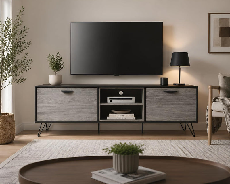 Flux 2 Door TV Cabinet - Space Gray